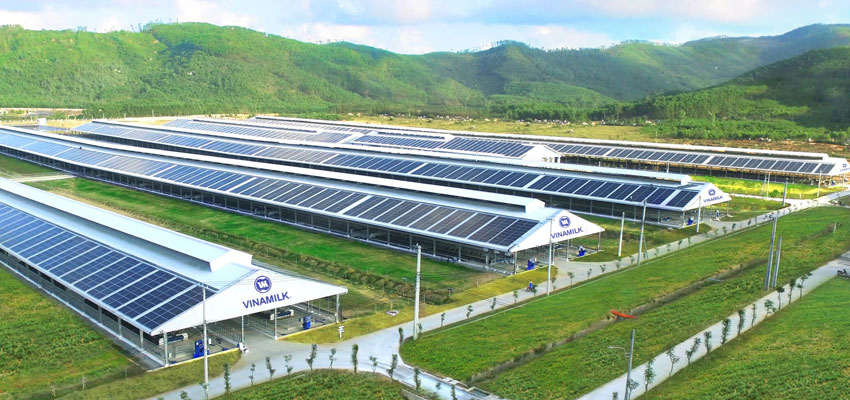 Xu hướng và Cơ hội của Thị trường Điện Mặt Trời Áp Mái tại Việt Nam năm 2025